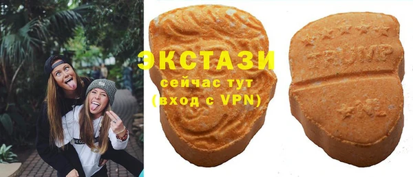 ECSTASY Горняк