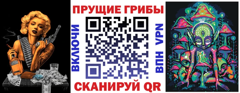Галлюциногенные грибы прущие грибы  купить закладку  Гаврилов Посад 